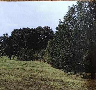 5 Ac Dewberry Road, Nixa, MO, 65714