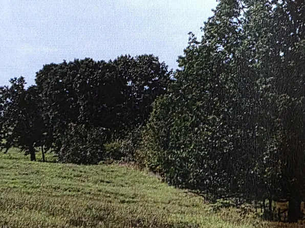 5 Ac Dewberry Road, Nixa, MO 65714