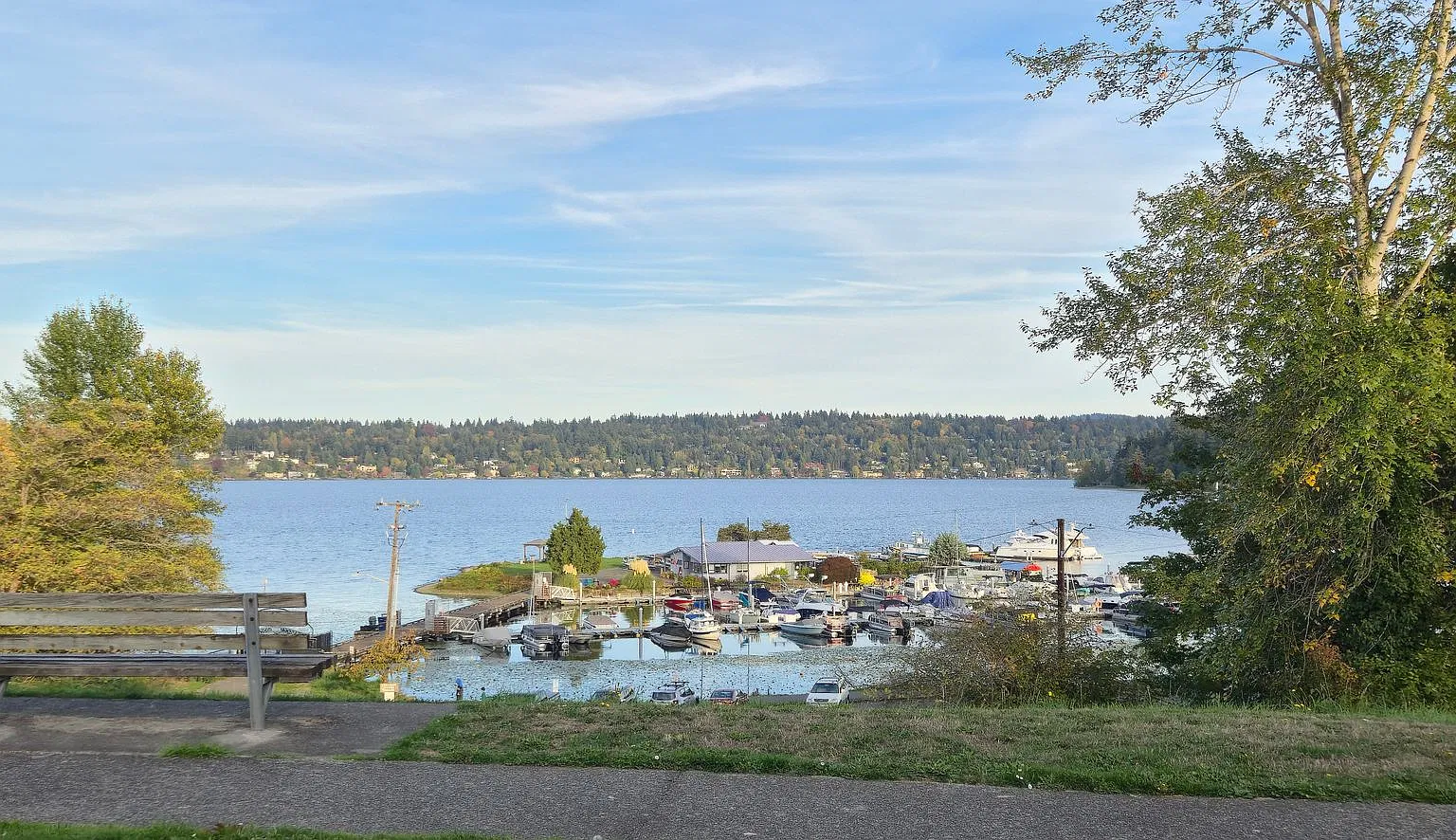Lake WA out your door Basement Unit — Photo 2