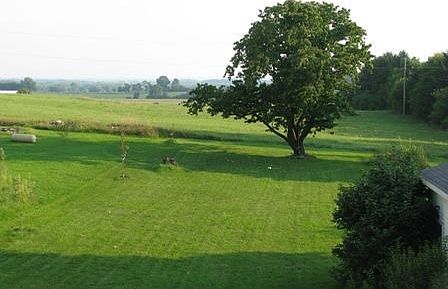 backyard view