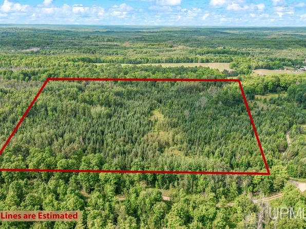 Bartels Rd, Foster City, MI 49834