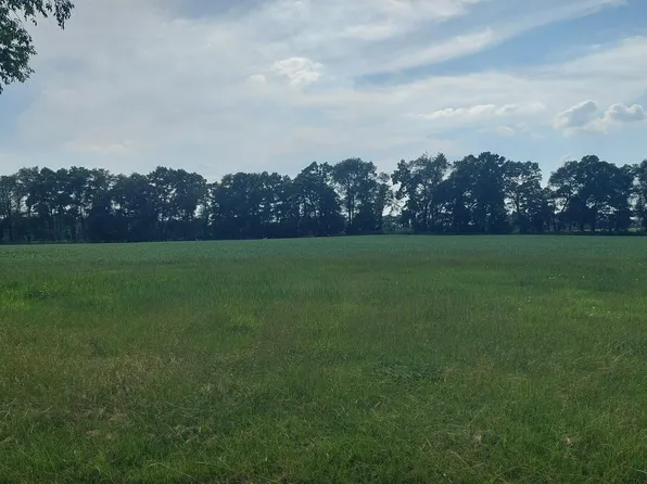 W Mosherville Rd, Litchfield, MI 49252