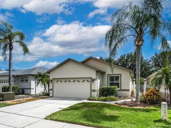 8128 Ambersweet Pl, Land O Lakes, FL 34637