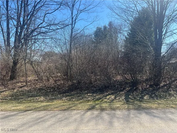 2572 Damvue Dr, Rock Creek, OH 44084