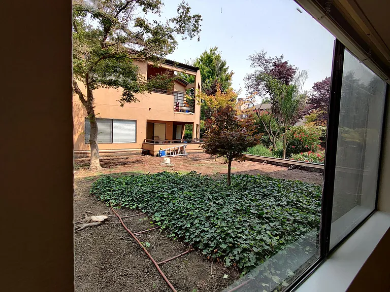 Garden view from living room