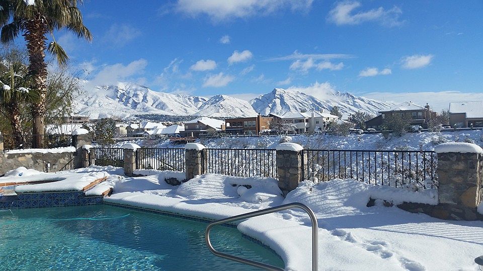 Back yard view