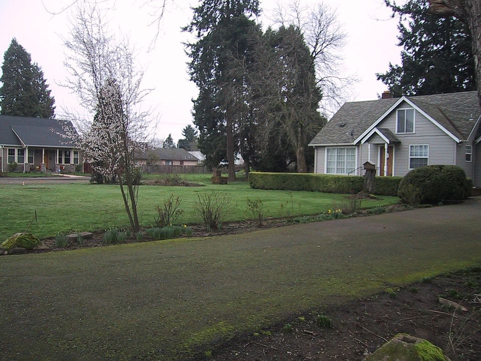 Front yard view from Echo Ln