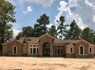 19490 Nasas Dr, Porter, TX 77365