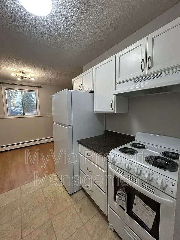 2 bed, 1.0 bath, $1,200 — Photo 4