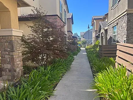 1119 Veranda Ct — Photo 2