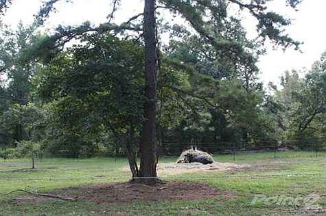 3rd image of 550 Polk 42
