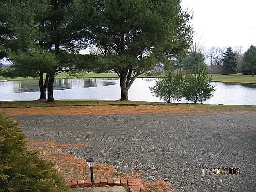 Pond view