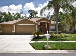15651 Eastbourn Dr, Odessa, FL 33556