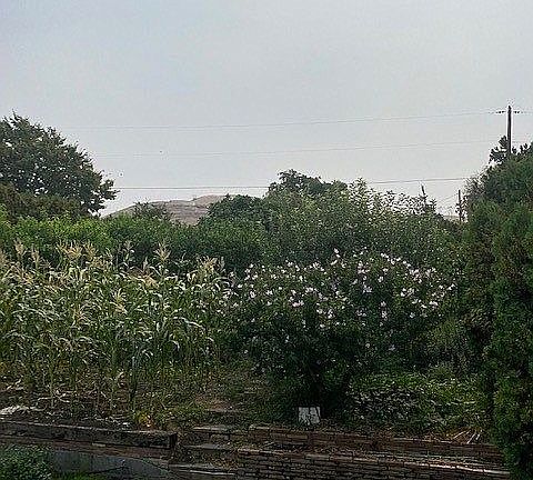 garden area