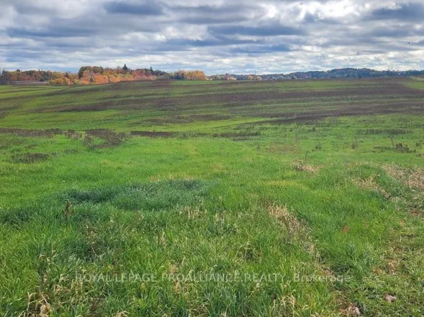 0 Mitchell Rd, Cramahe, ON K0K 3K0