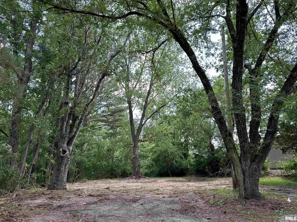 360 Wells St, Murphysboro, IL 62966