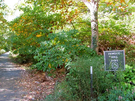 Rented by Bohemia Realty Group | media 5