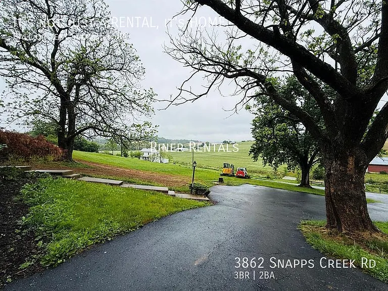 3862 Snapps Creek Rd — Photo 15