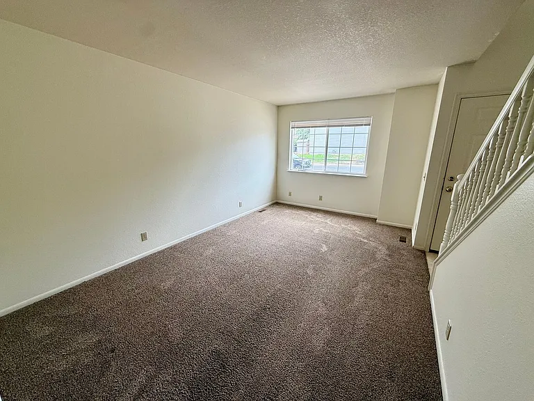 4848 Basswood Dr — Photo 13