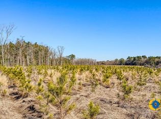 301 Highway, Statesboro, GA 30458