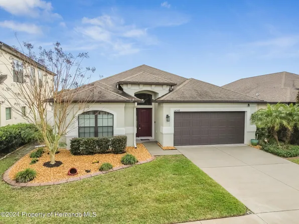 14248 Saltby Pl, Spring Hill, FL 34609