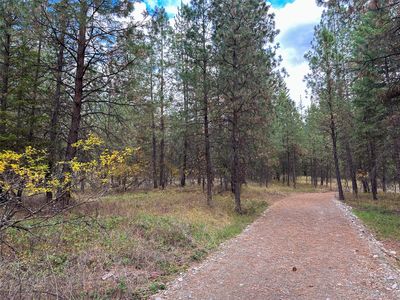 Nhn Farlan Lane Lot 3, Thompson Falls, MT, 59873