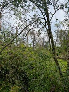 160 Ford Rd, Ragley, LA, 70657