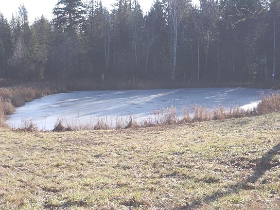 4th image of 9550 Wilderness Trl