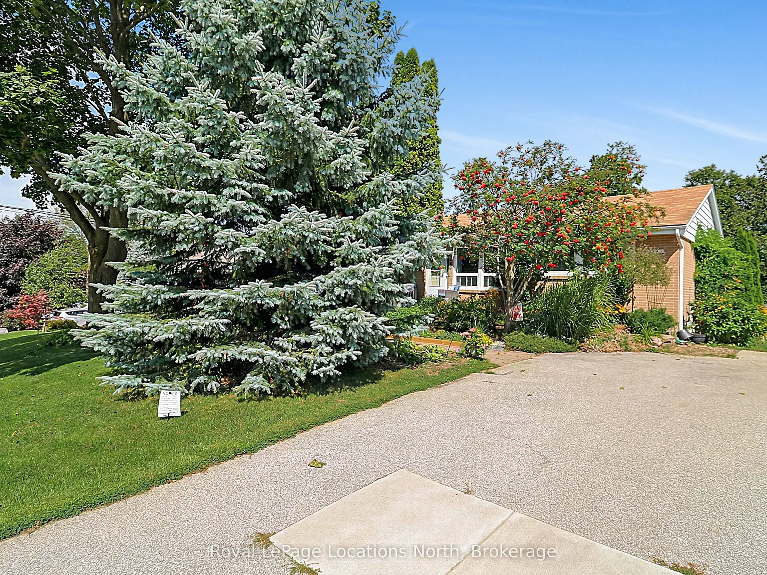 3 bed, $2,500 — Photo 2