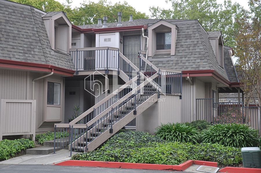 1st image of 3053 Shadow Springs Pl