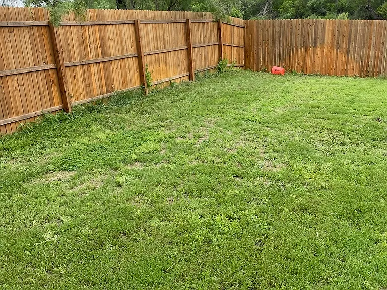 Backyard