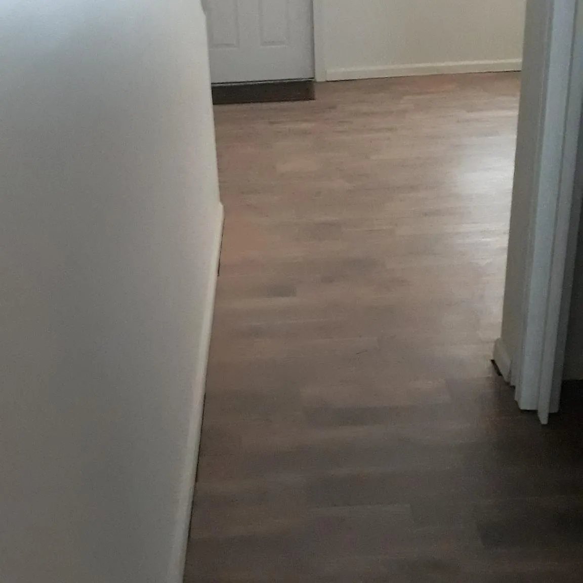 3 bed, 1300 sqft, $1,610 — Photo 3