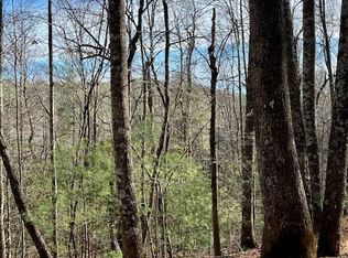TBD Doe Valley Lane, Deep Gap, NC 28618