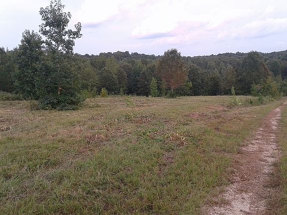 4th image of 354 Anna Claire Dr
