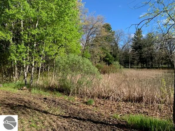 0 Amick St, Brethren, MI 49619