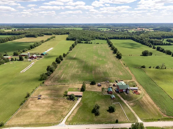 425158 Irish Lake Rd, Grey Highlands, ON N0C 1H0