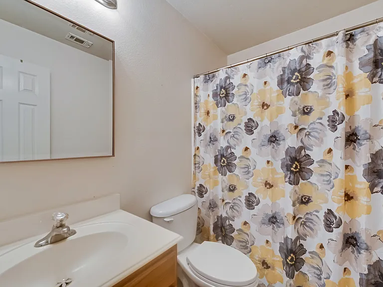 9805 Tanglebrush Dr — Photo 5