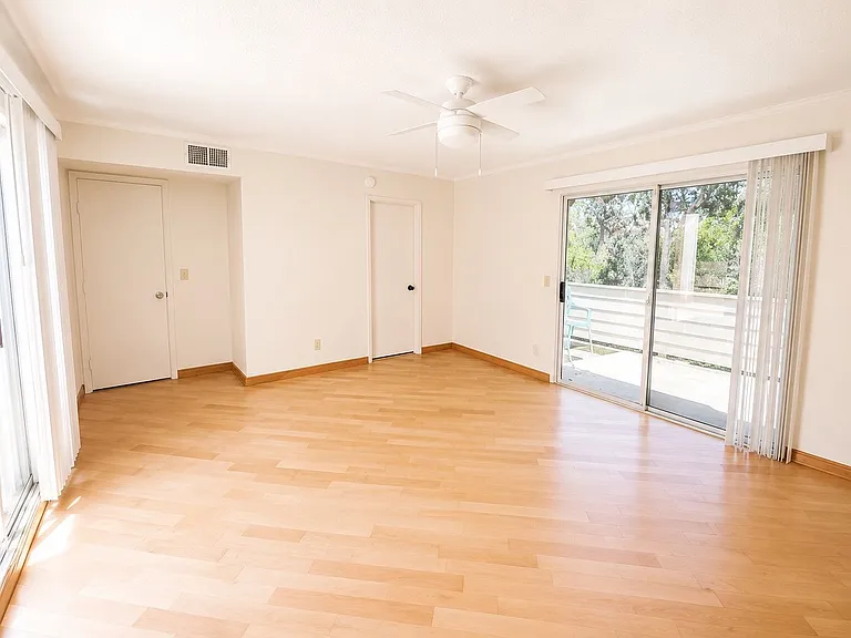 5451 Caminito Borde — Photo 24
