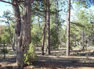 2072 Lone Mountain Rd, Overgaard, AZ 85933