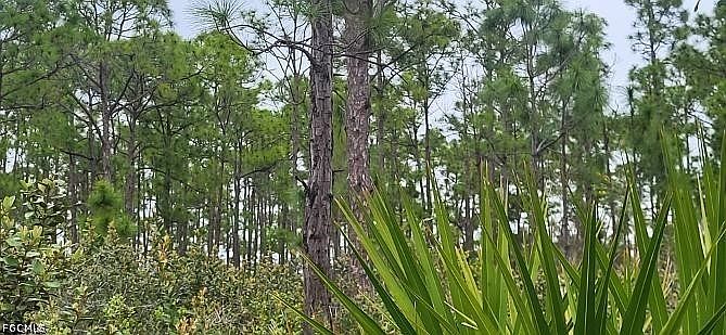 1st image of 27278 Green Gulf Blvd