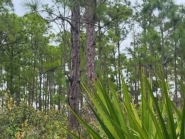 27278 Green Gulf Blvd, Punta Gorda, FL 33955