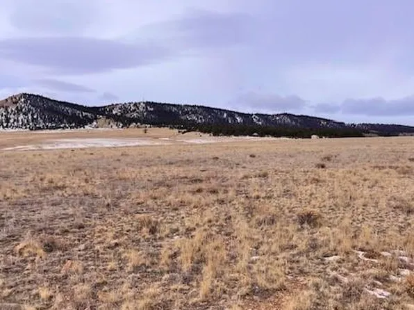 2620 Larimer Drive, Hartsel, CO 80449