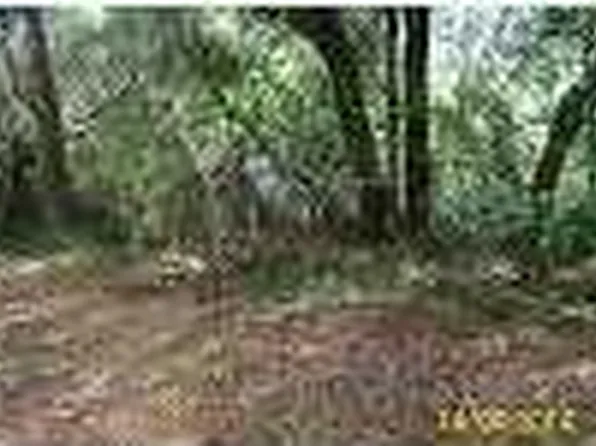 0 Arsburn Rd, Charleston, SC 29412