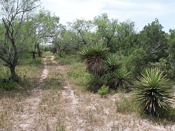 4th image of 0 Hwy 359