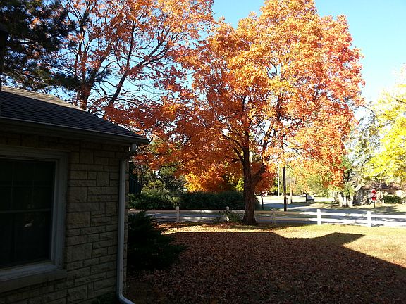 4th image of 1825 N 8th St