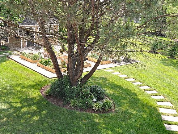 Backyard View from Bedrooms