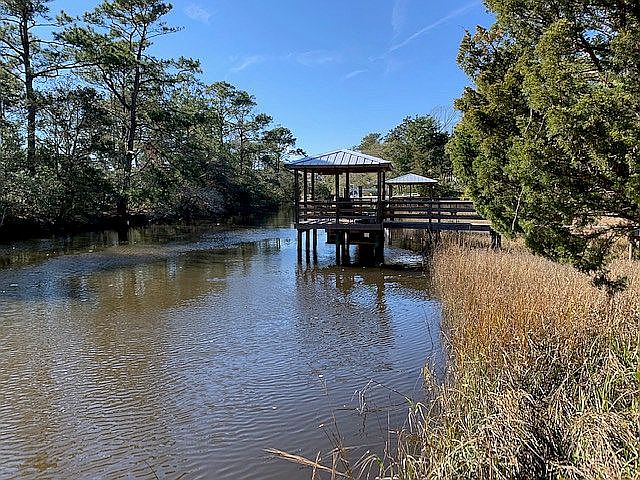 Davis Canal looking West