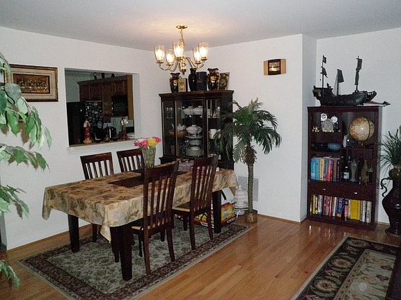 4th image of 3631 Silver Spruce Cir