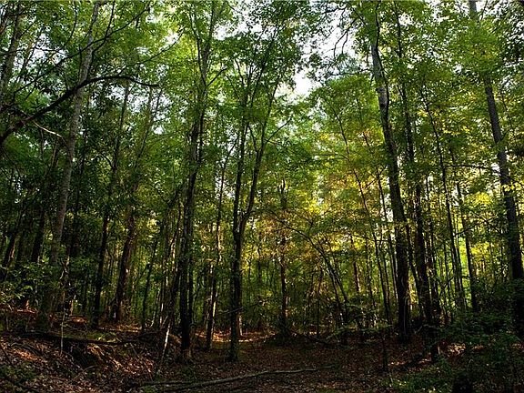 2nd image of 10715 Serenbe Ln Lot 162