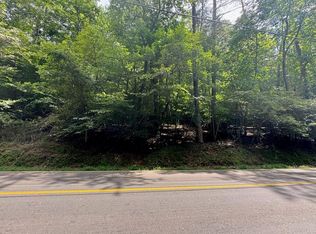 166 Beaver Lake Dr, Ellijay, GA 30540